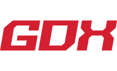 RealGDX logo